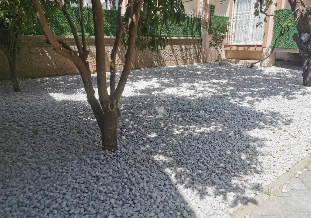 C27DA50F-6F76-451E-B1FE-0E21D49404A3