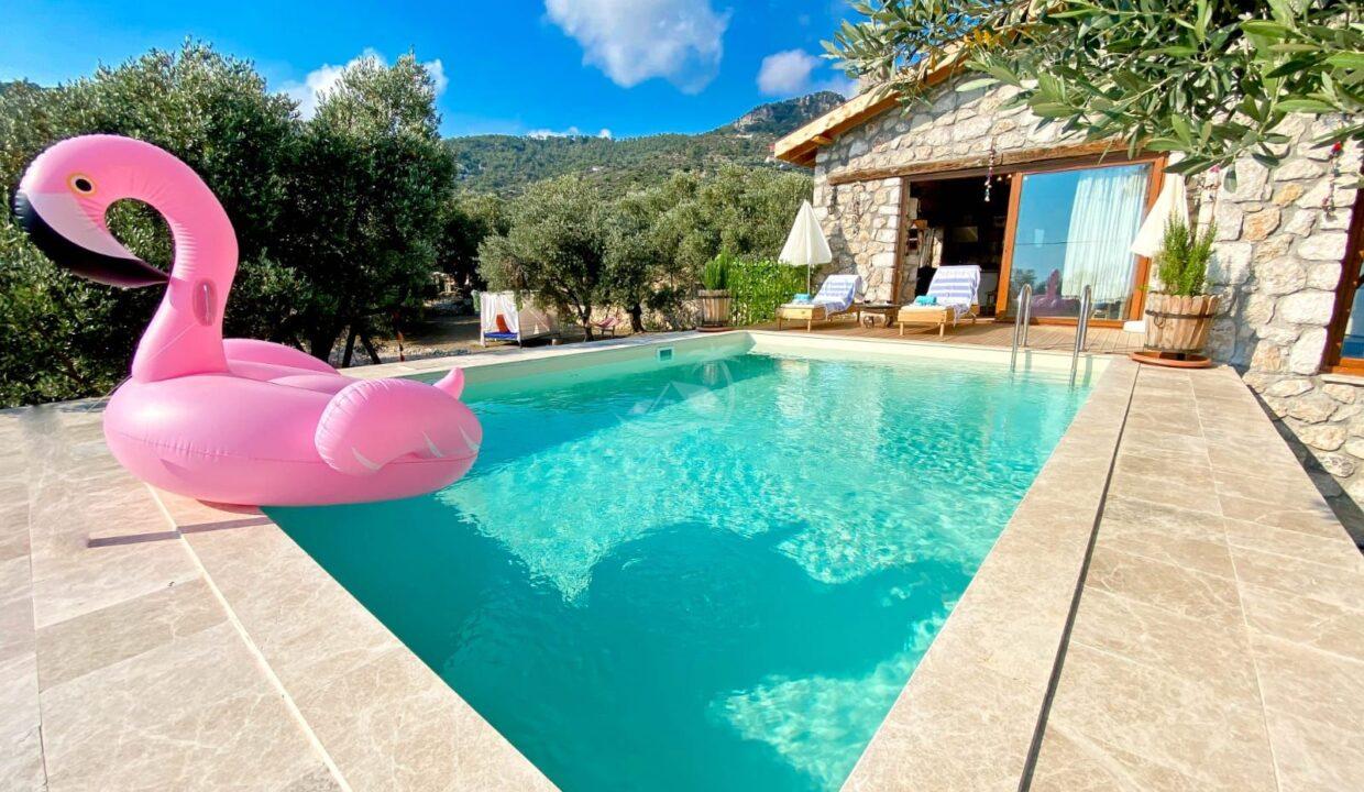 21E94704-7915-43F5-881A-7111535DDA80