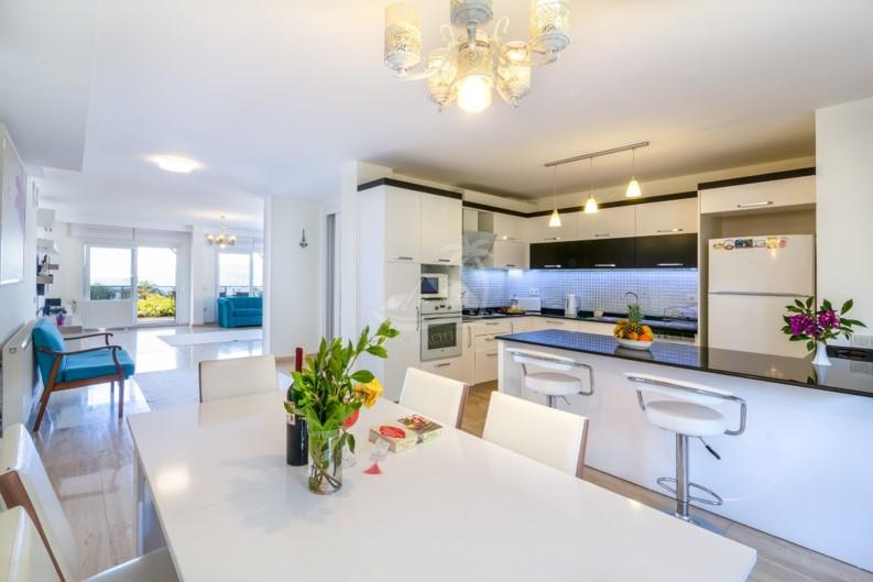 66074A92-FE37-445A-819C-6F8D9A980885