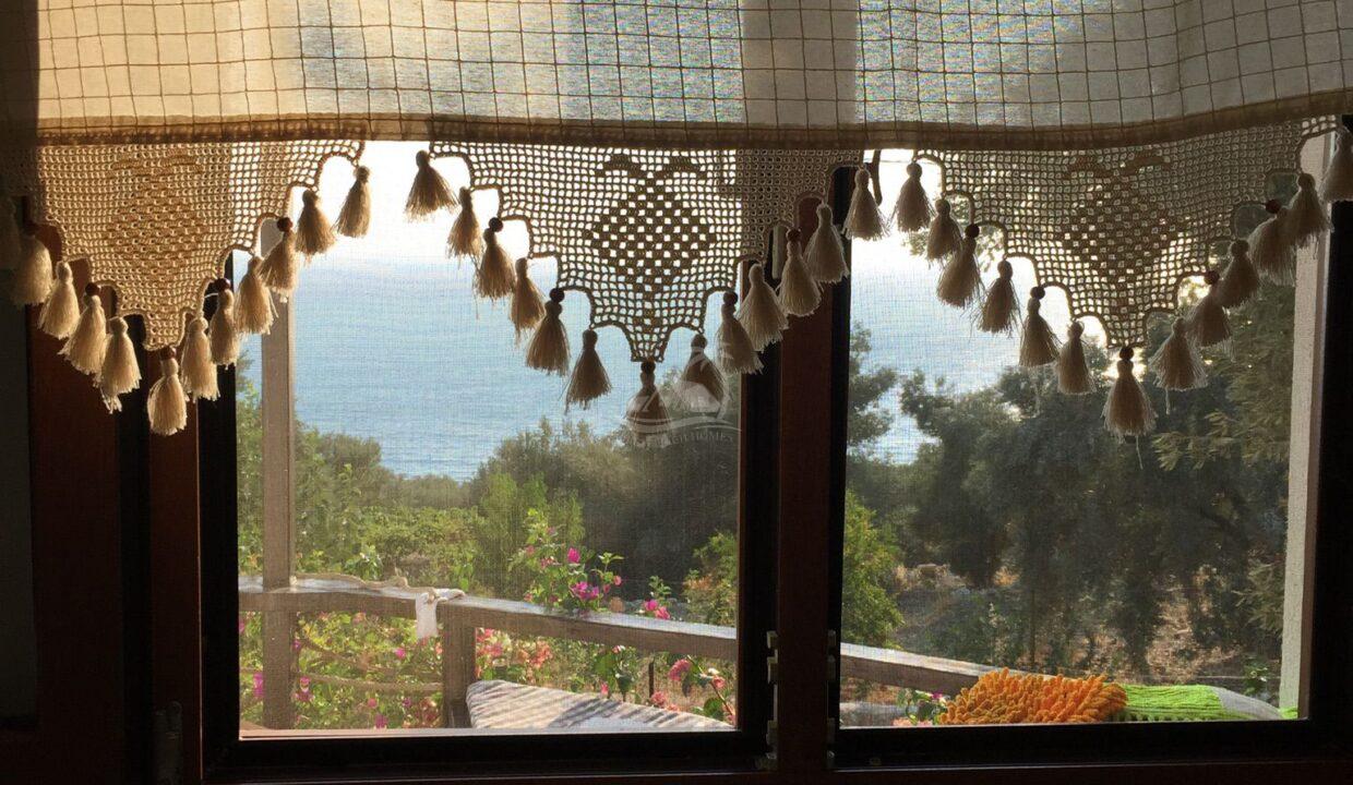 96BB9532-DDD9-4298-B9AF-236FF294B632