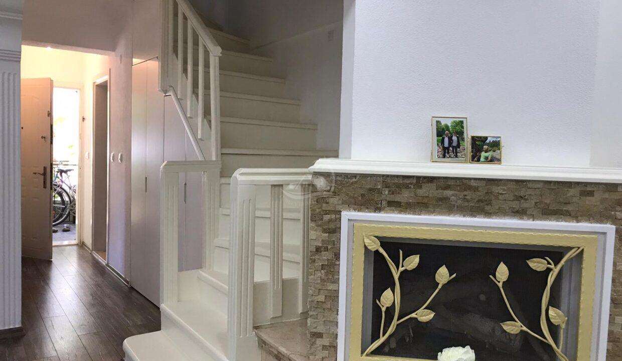 3F78A2B9-0B66-4F7C-B20C-5980CBE95780