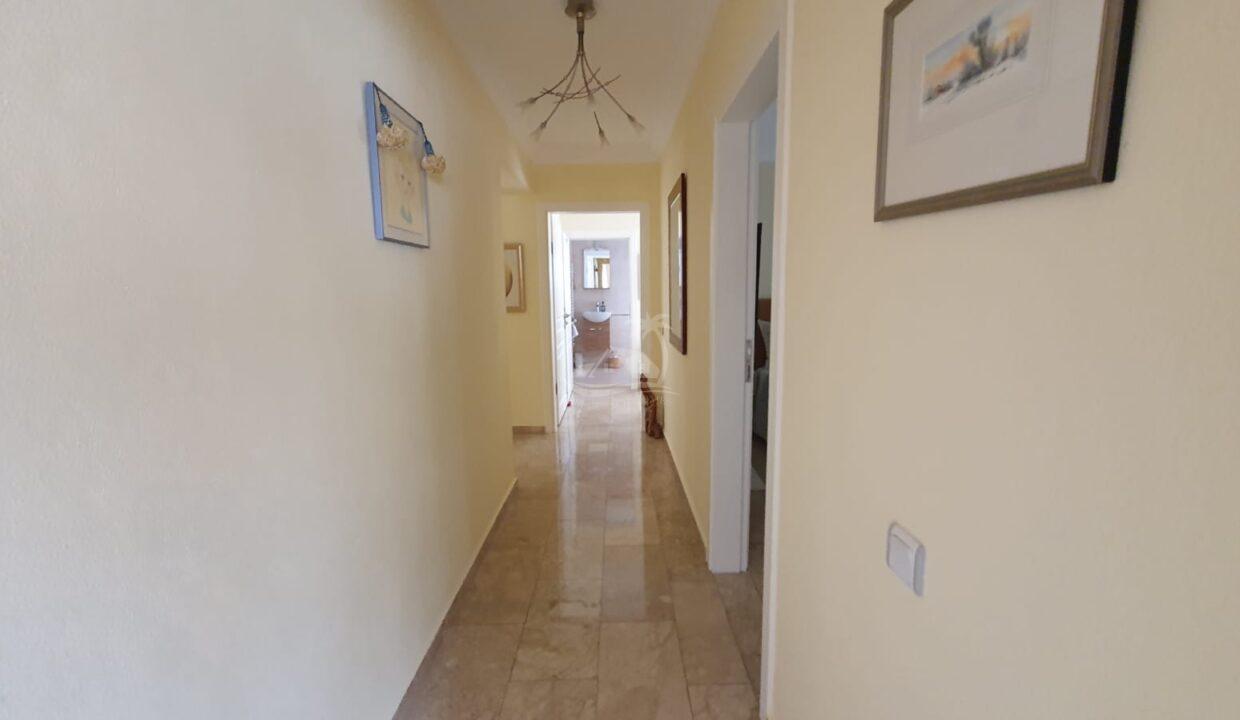 8B39C1AE-3F93-44A1-8729-01C2E0AE655F