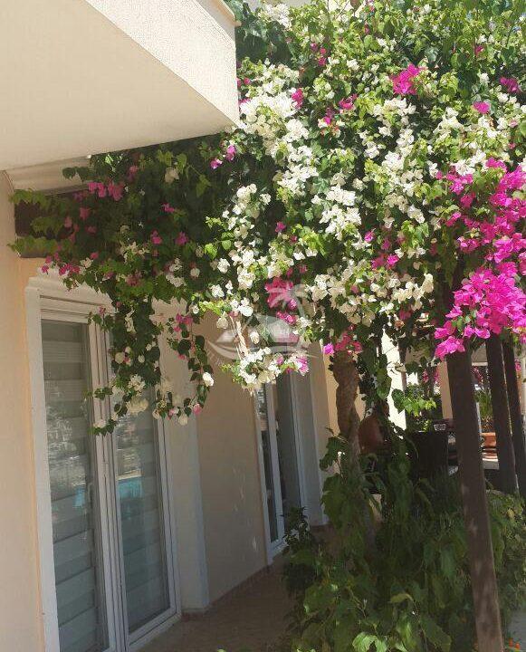 home-sale-turkey-kalkan-beach-house (3)