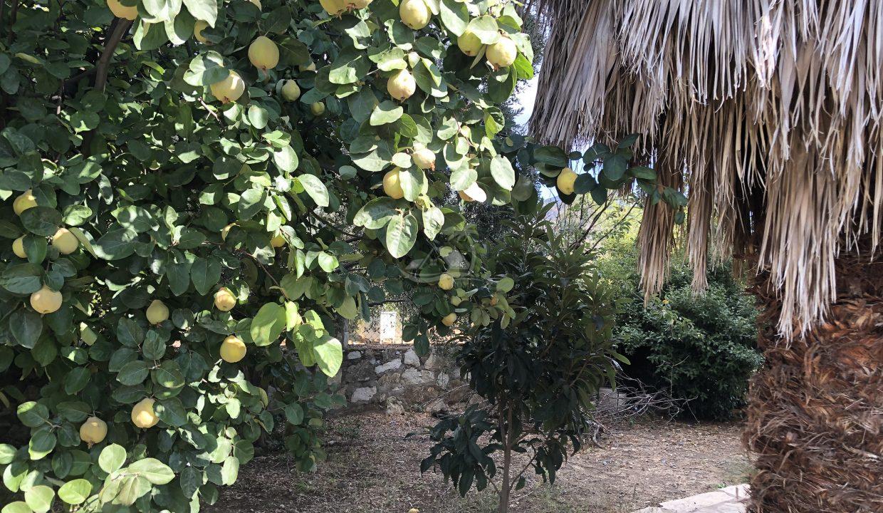 1412254A-3A91-4132-A072-A13861E453D8