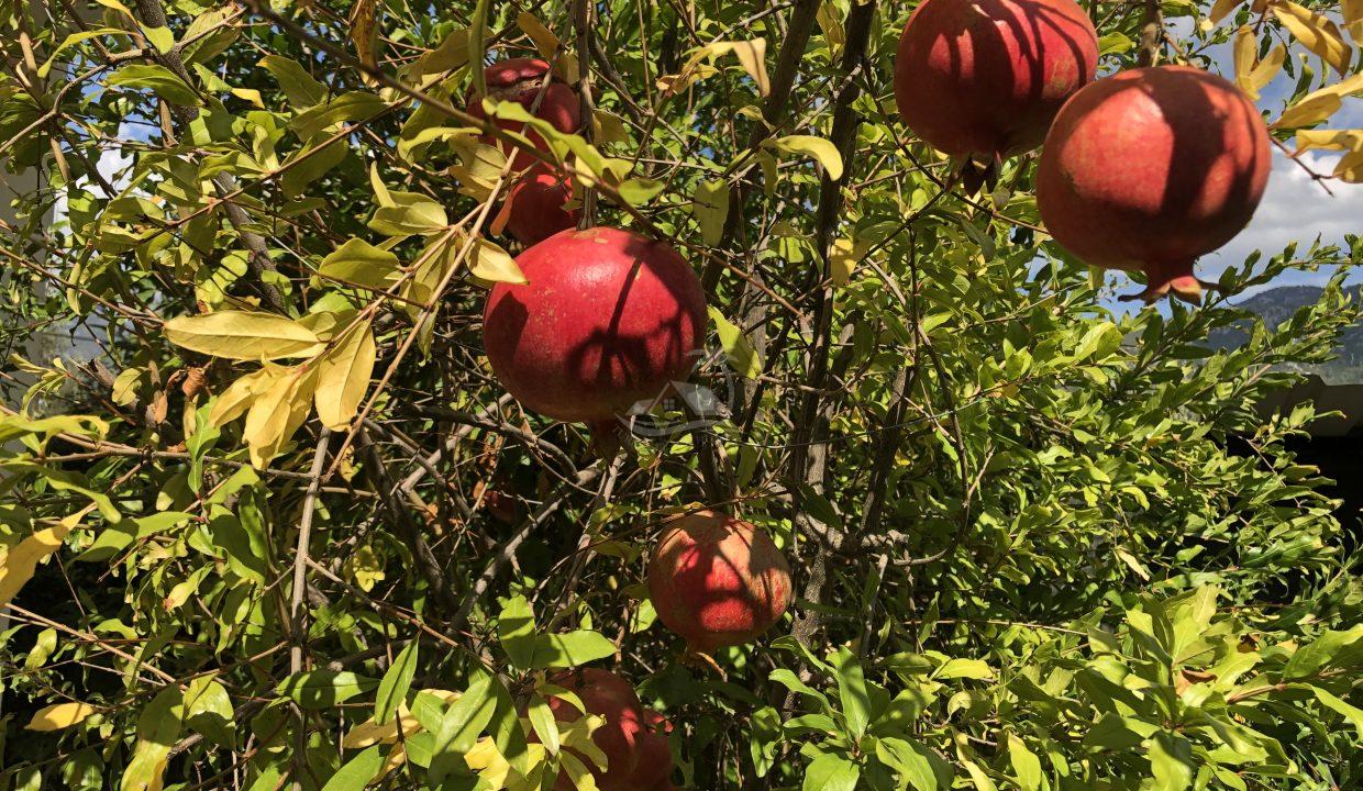 15510A9D-B349-40A7-BCBD-C4DC915D8577