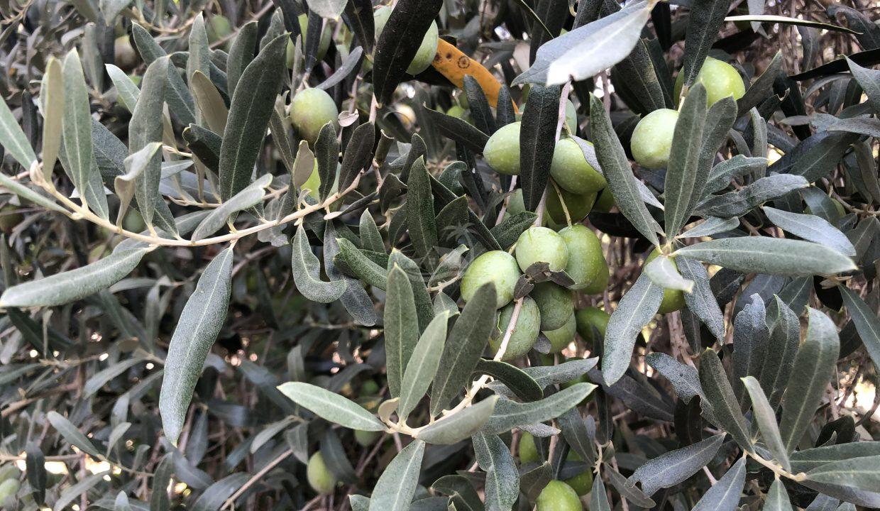 73B44739-E510-4B0F-A1FB-1FC40ED061ED