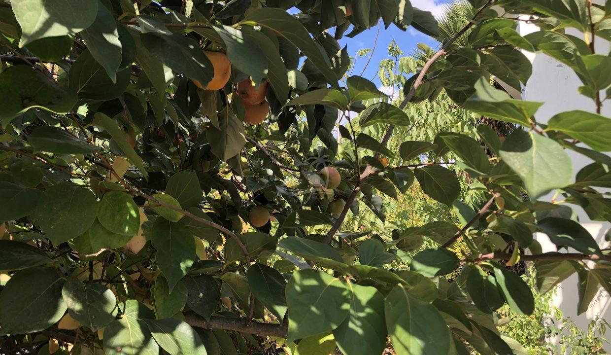 B6DD2E12-89F6-4E0E-A67B-B5F72E586633