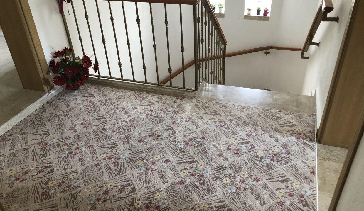 C3594A57-810D-467F-86DD-632EDB5BE6F4