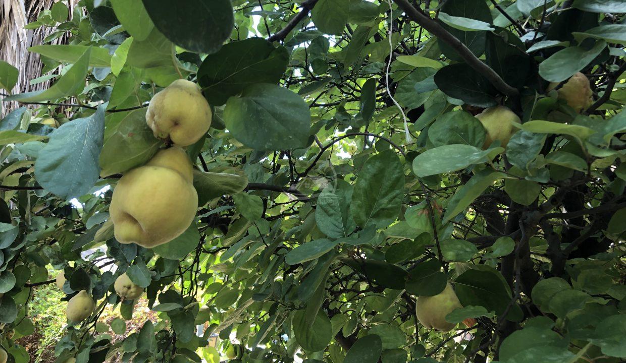 E3578F95-5E4C-4C43-A449-17A469A0055B