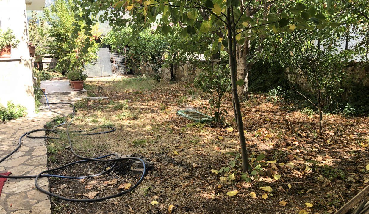 F21E4170-DAE1-429F-B996-FD66D67F85E0