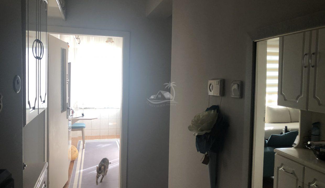 11AF686F-06DF-409D-8859-DA7E1FA33F4C