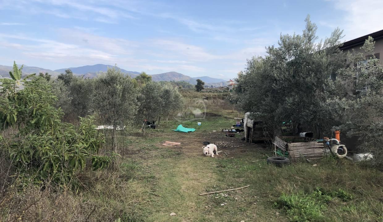 3B11A46A-9FAC-4A6B-B5F0-4117A8CFE83F