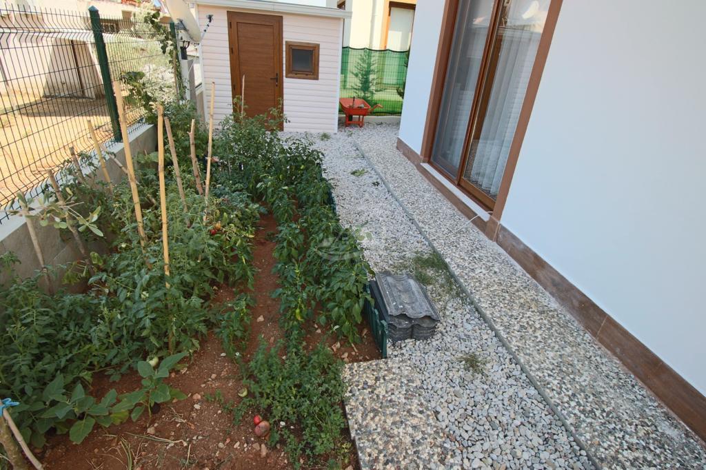 57062DB1-8AB1-411E-AAD2-77E265DCE2B1