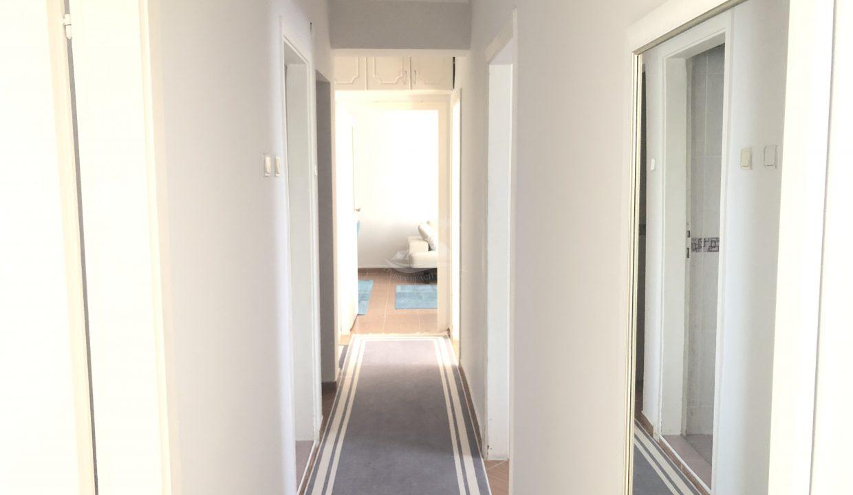 62BF5A82-39EC-416D-A930-D5CE91DE827F