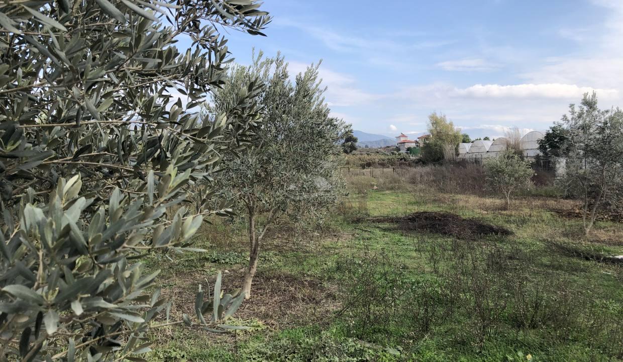 69C749EE-D27B-499C-85FF-1D33F87DD2D4