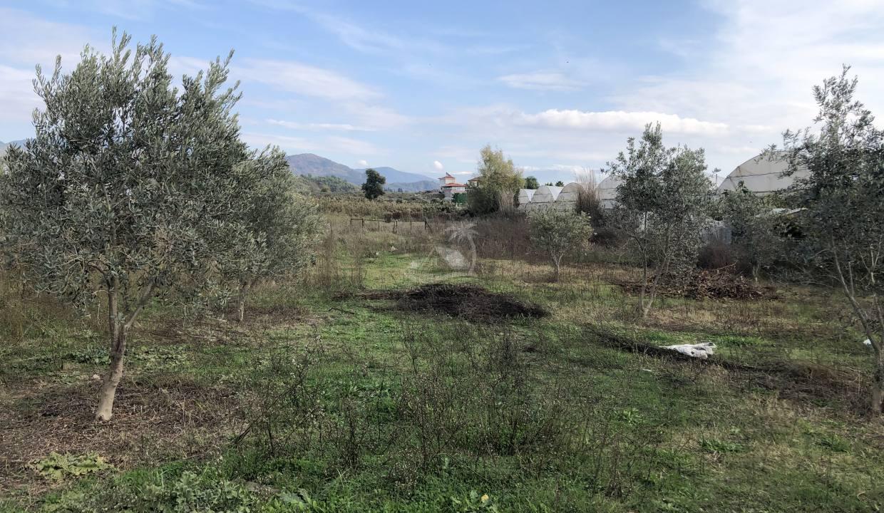 8FC8B808-F3B0-446F-BE55-B9503E74F2C5