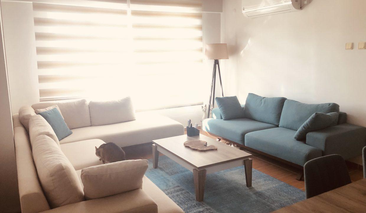 943733A0-E024-4512-AC28-90F2298F3F2F