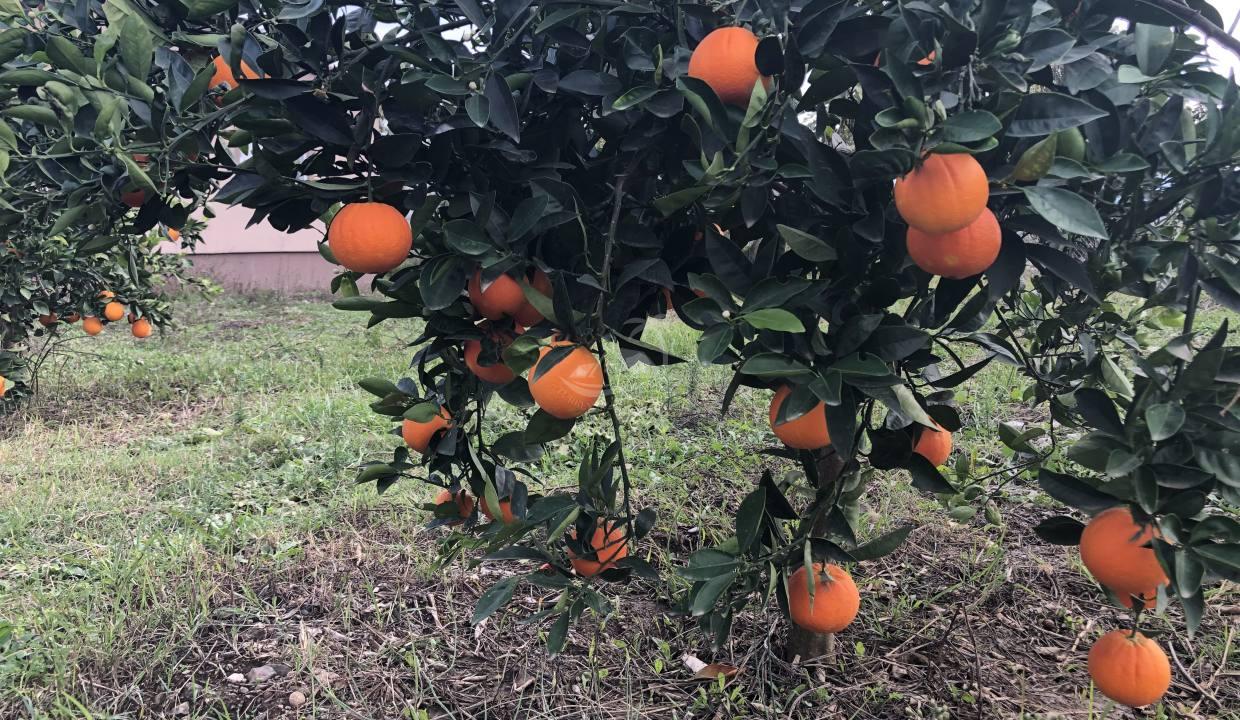 A0B484F7-1212-4969-9664-C2AB26134575