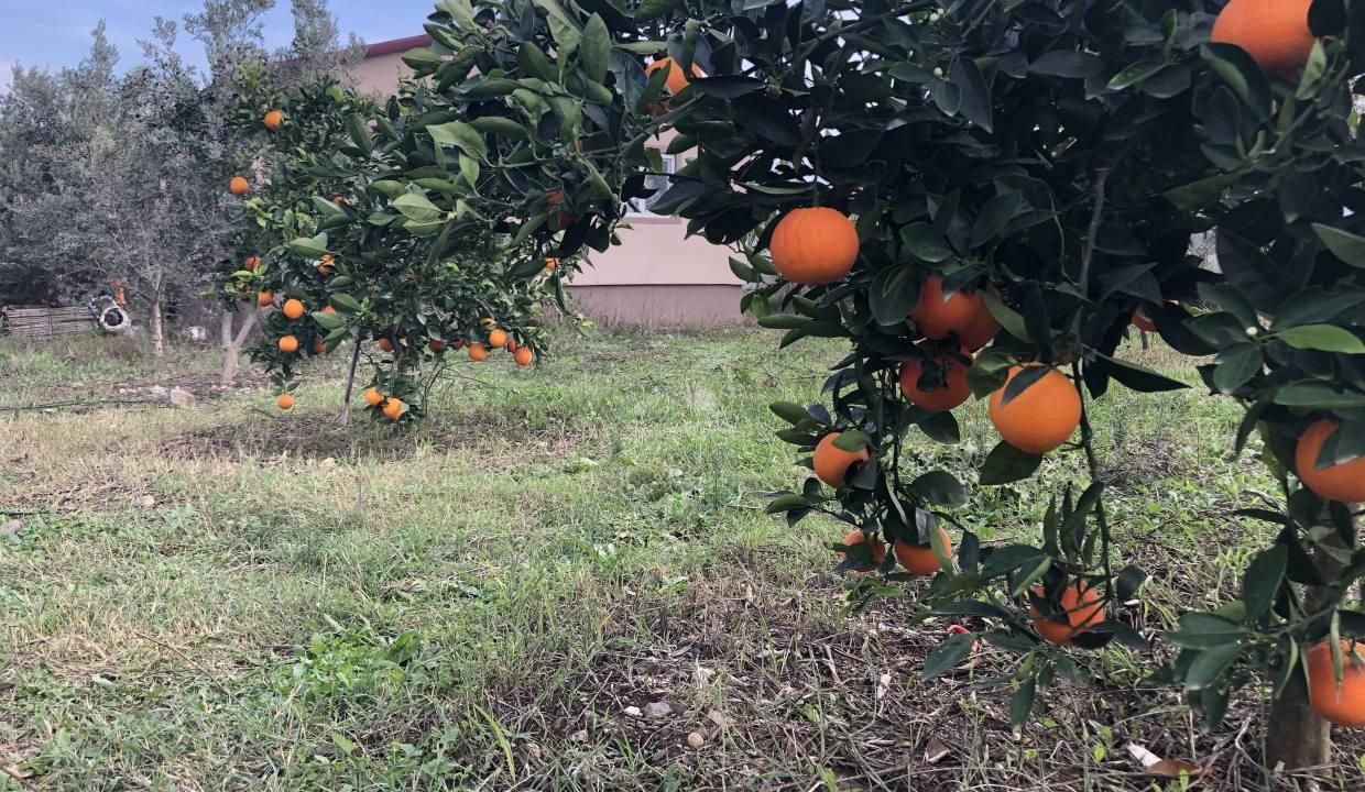 land-for-sale-fethiye