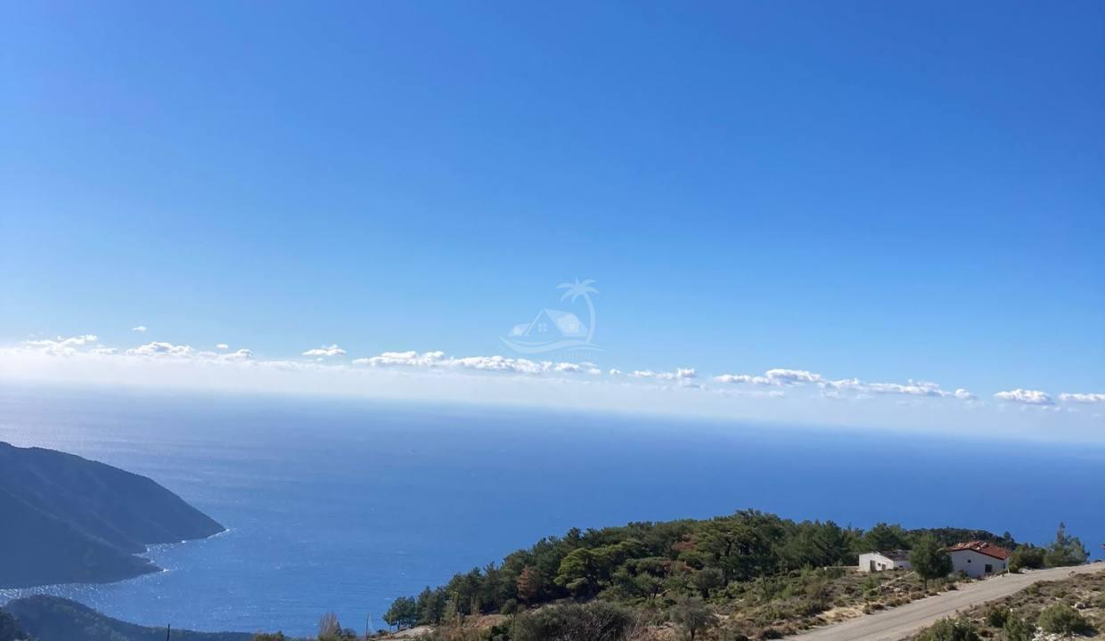 22FB360A-23AF-4BCB-B381-79A504E9A1EE