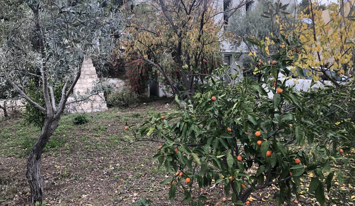 A2595F8A-44B0-4254-BE87-4CF51E5E54A3