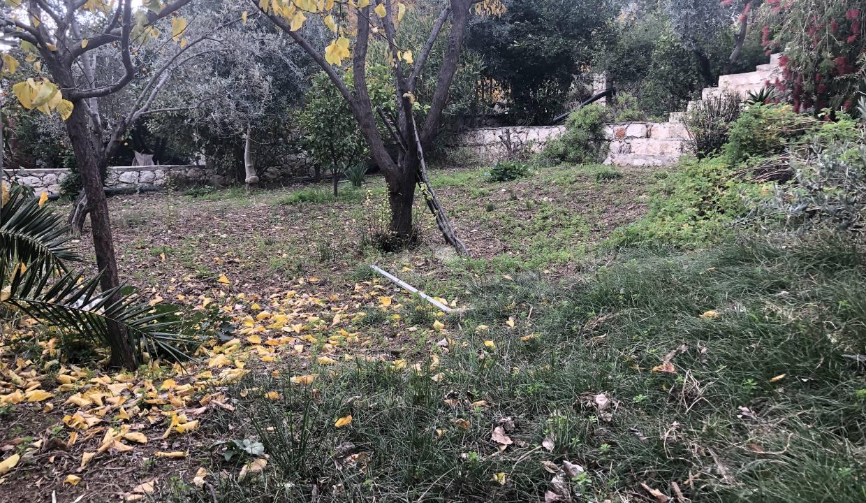 DF099792-71FA-41DA-A522-35F99D8682EF