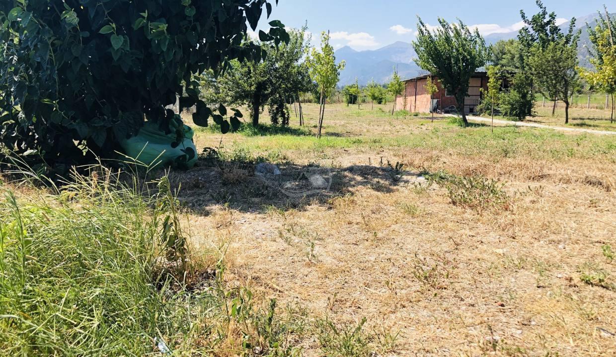 36828BD1-32DF-46FF-AEAB-32459BA29CE8