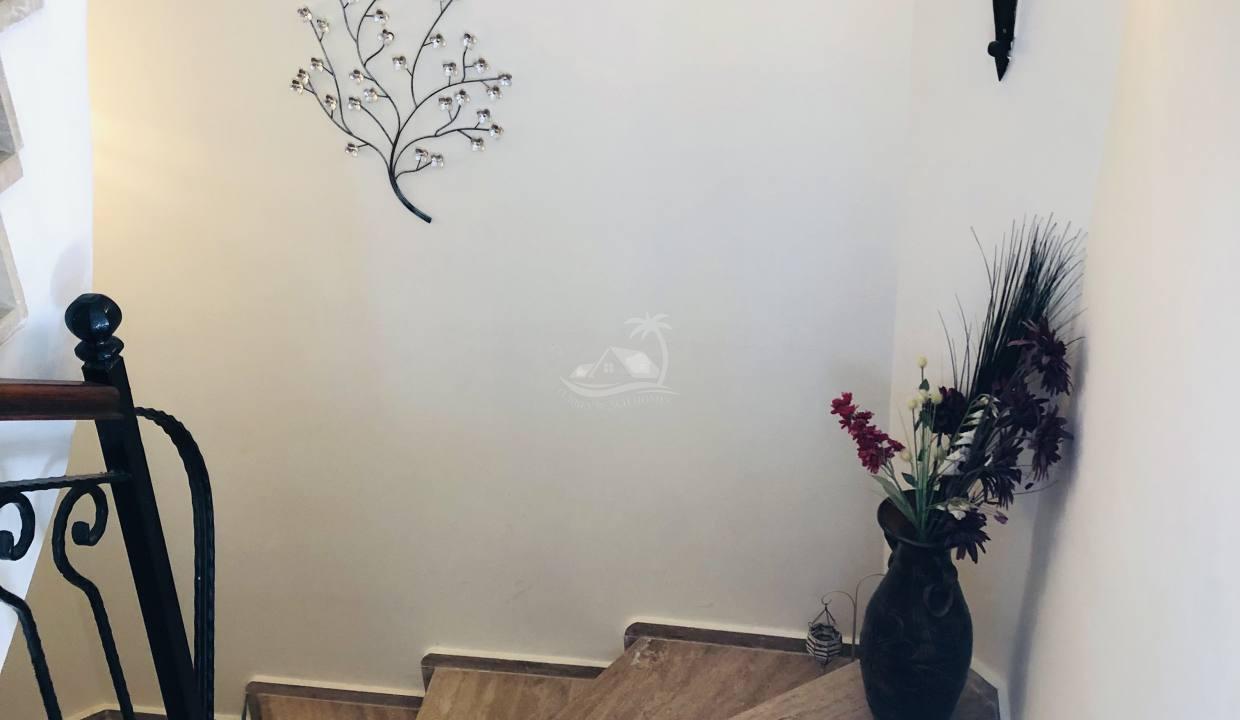 22799599-085E-404D-B4E8-521D243FDC47