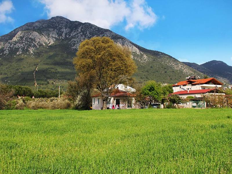 Property and land for sale in Uzumlu Fethiye